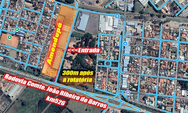 Amendupã (D)