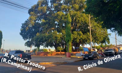 Praça da Figueira