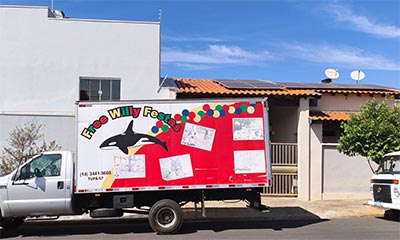 Free Willy Festas