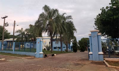 Assoc. APAE