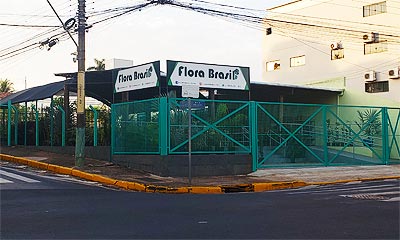Flora Brasil