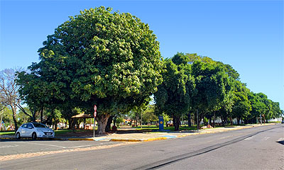 Praça João A. Colucci (Pça do. Abarca)