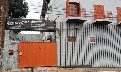 Sinergia Seg. Eletrônica